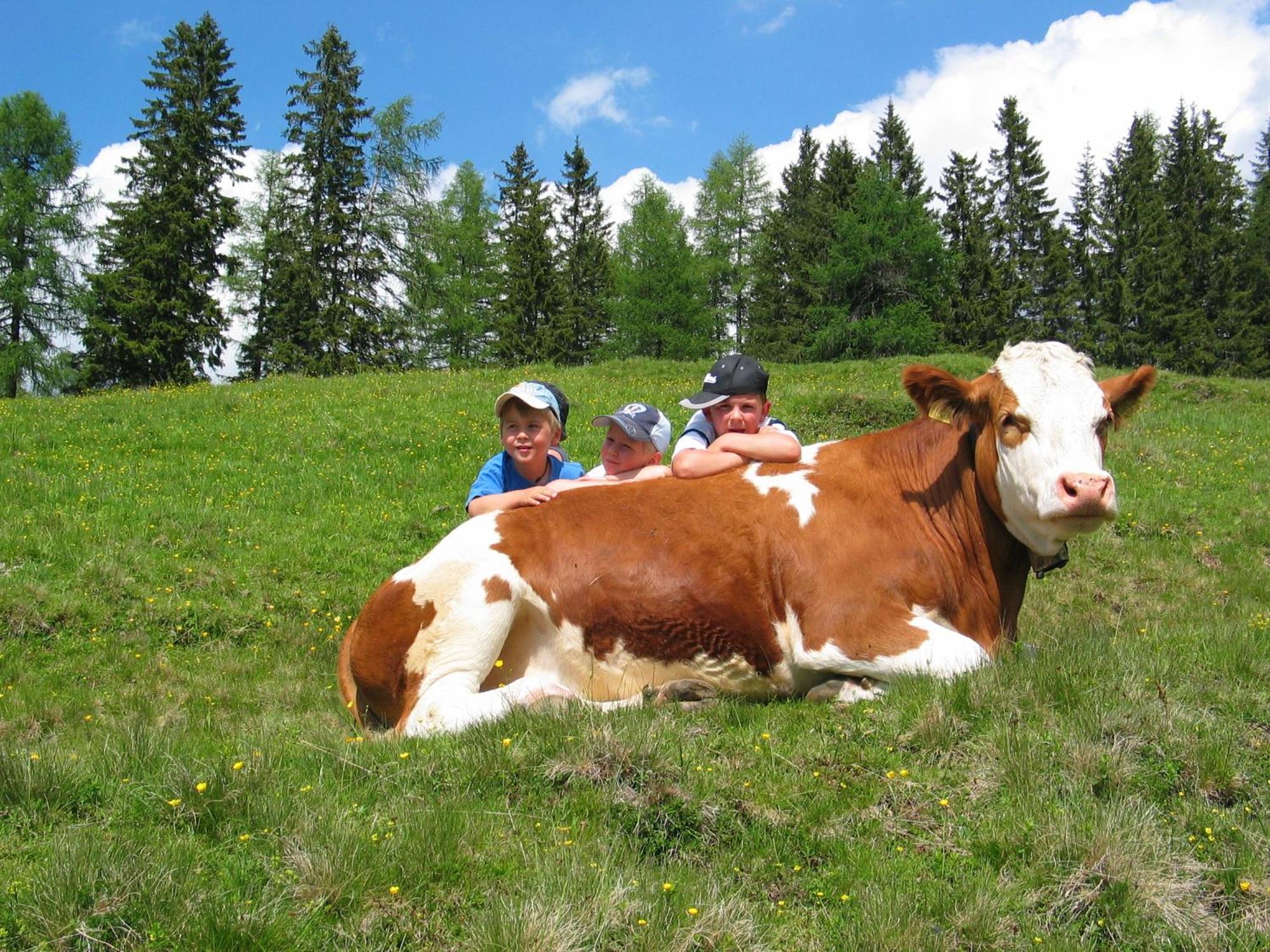 Sportbauernhof - Gasthaus Hochalmblick Krems in Kaernten ภายนอก รูปภาพ